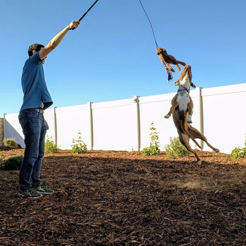 FLIRT POLE POUR CHIEN