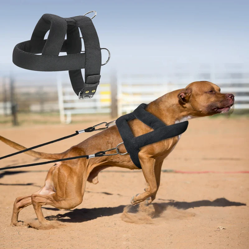 HARNAIS DE TRACTION POUR CHIEN SPORTIF