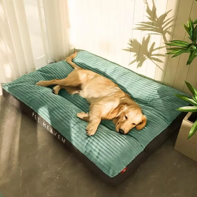 Lit doux pour chien