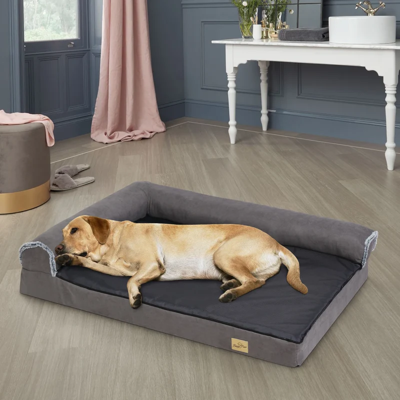 Lit pour chien memoire de forme