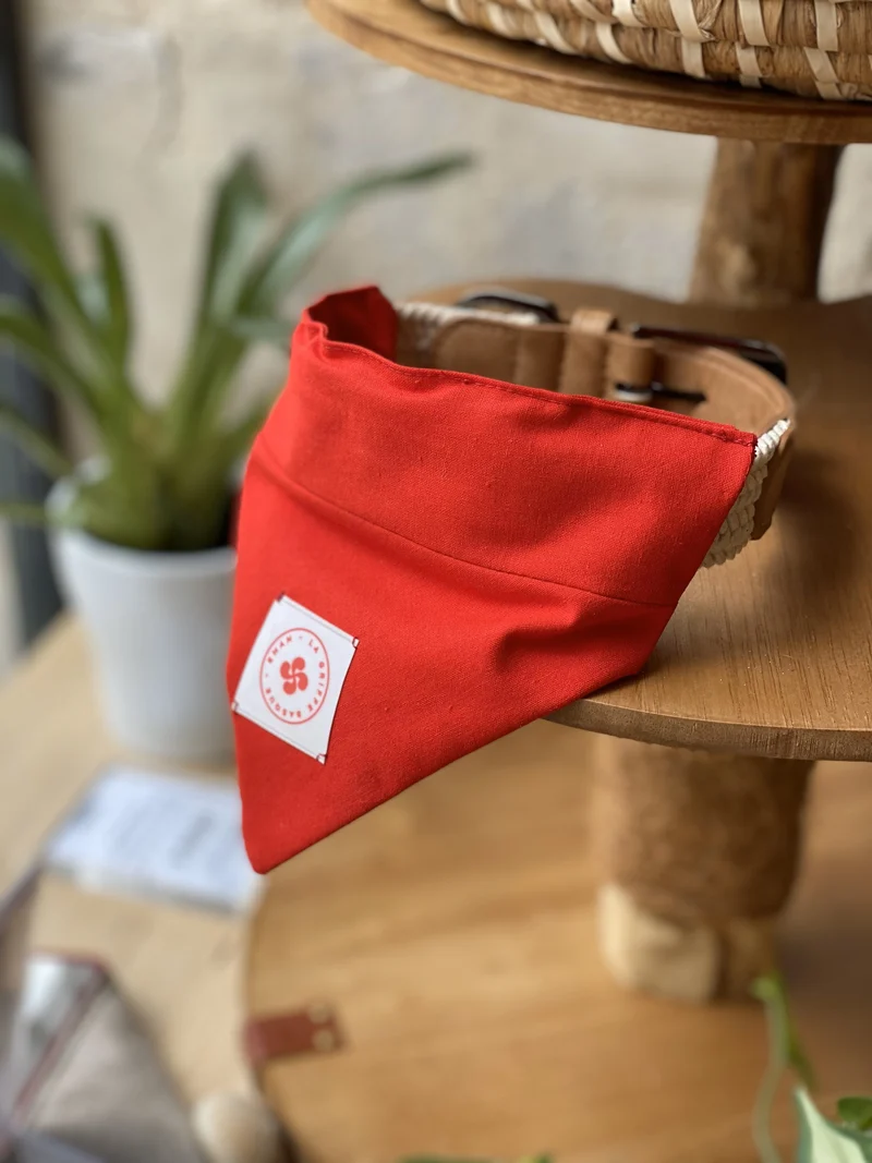 Bandana foulard Fêtes de Bayonne pour chien - EMAN