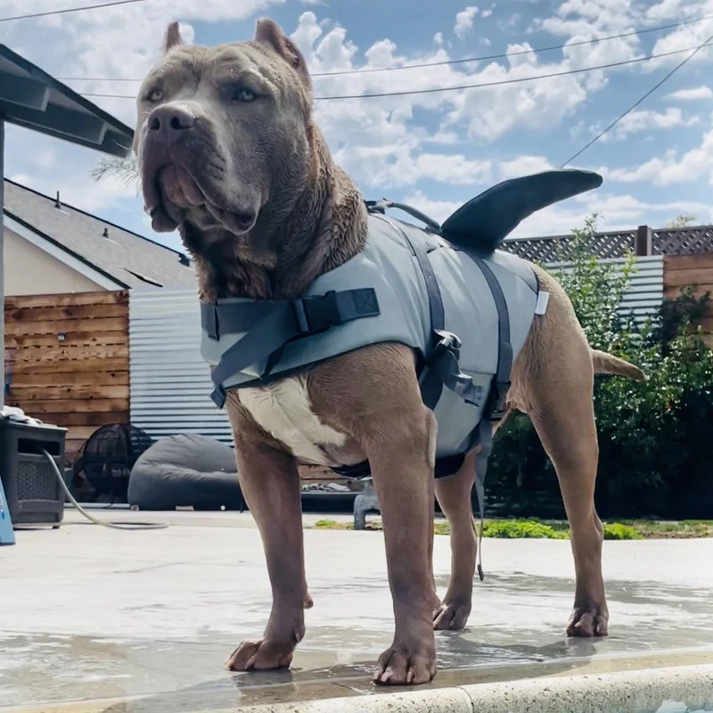 GILET DE SAUVETAGE REQUIN POUR CHIEN