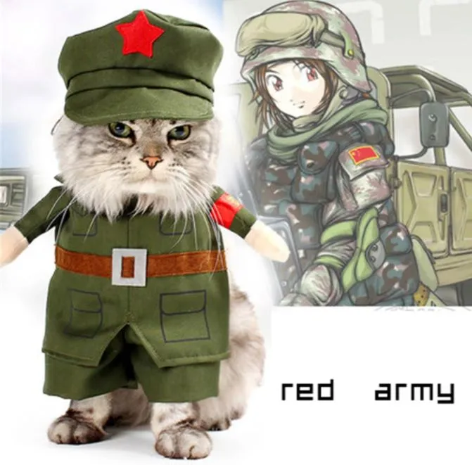 Costume pour chat Militaire