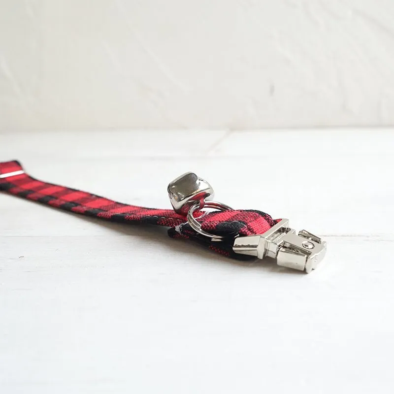Collier pour chat gravé premium