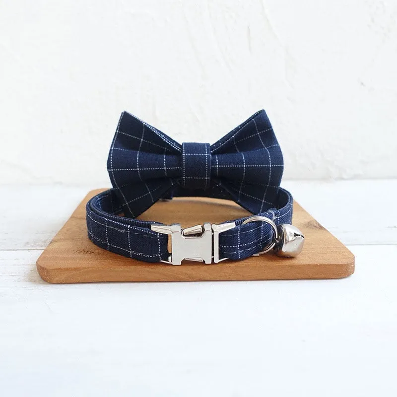 Collier pour chat gravé premium