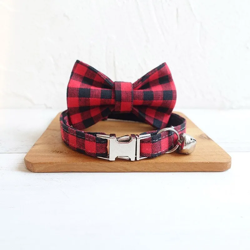 Collier pour chat gravé premium