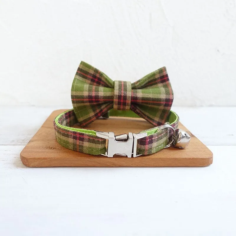 Collier pour chat gravé premium