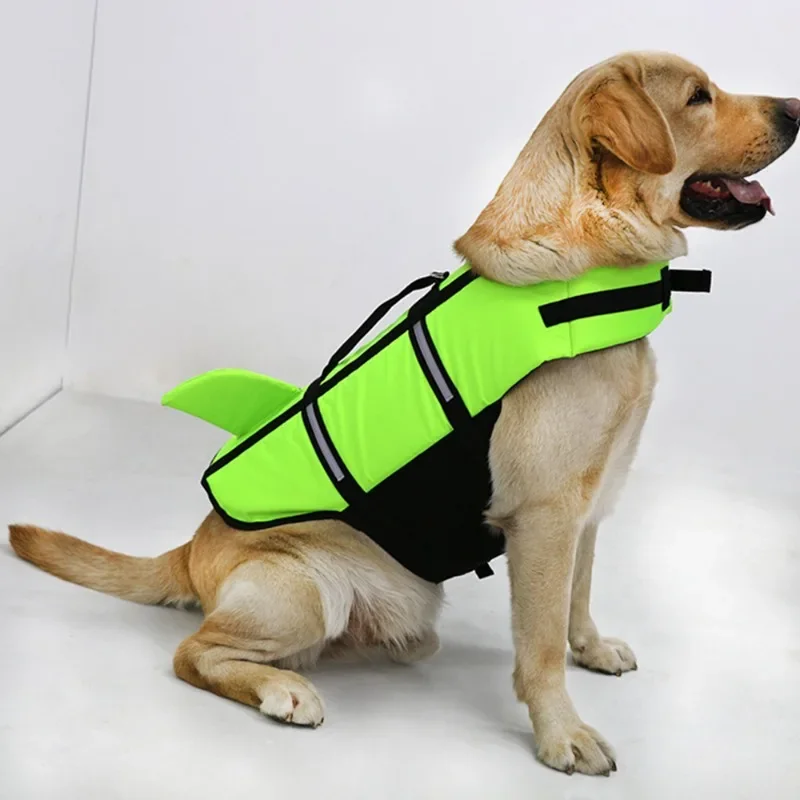 Harnais de nage pour chien