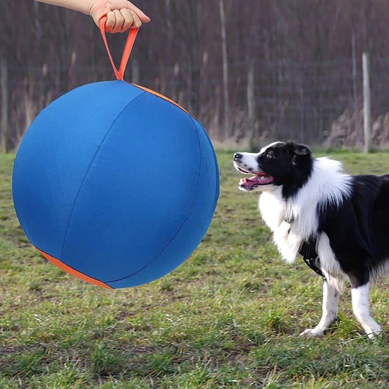 Ballon Treibball chien