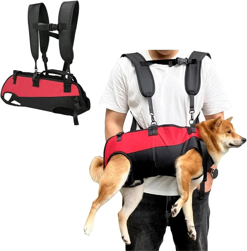 Harnais transport chien blessé handicapé