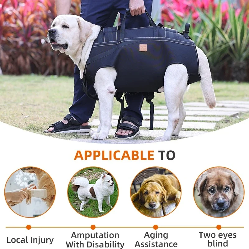 Sac a dos transport chien