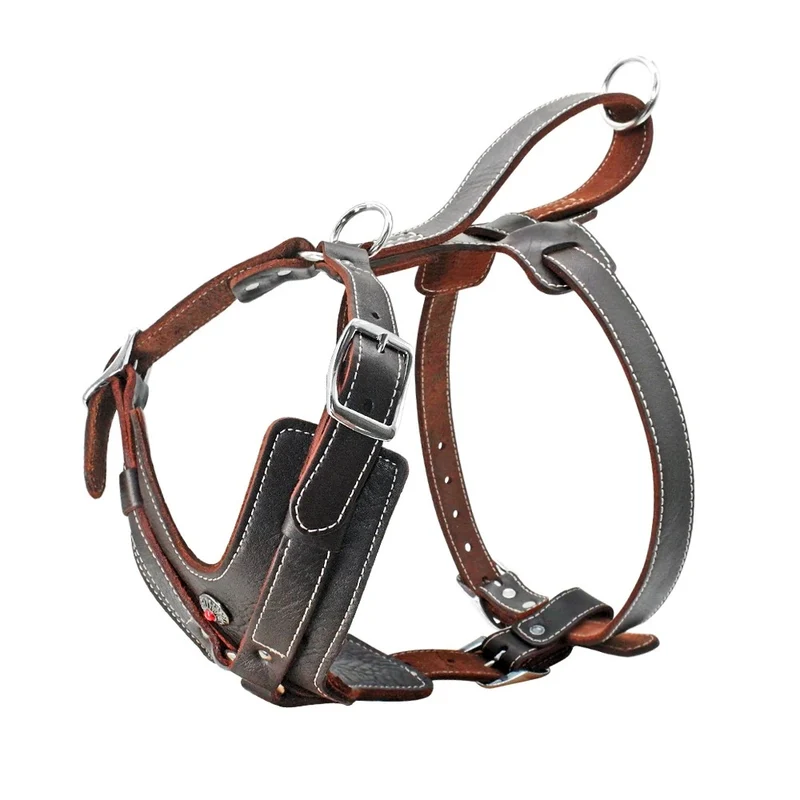 Harnais pour chien en cuir véritable