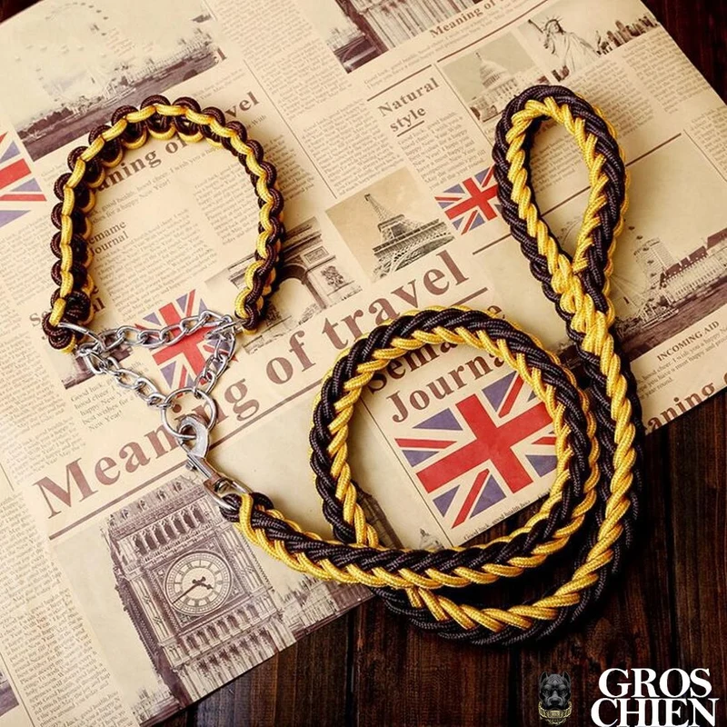 COLLIER + LAISSE "BLACK & YELLOW ARMY"