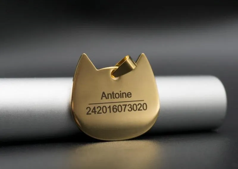 Médaille gravée motif poisson ou chat