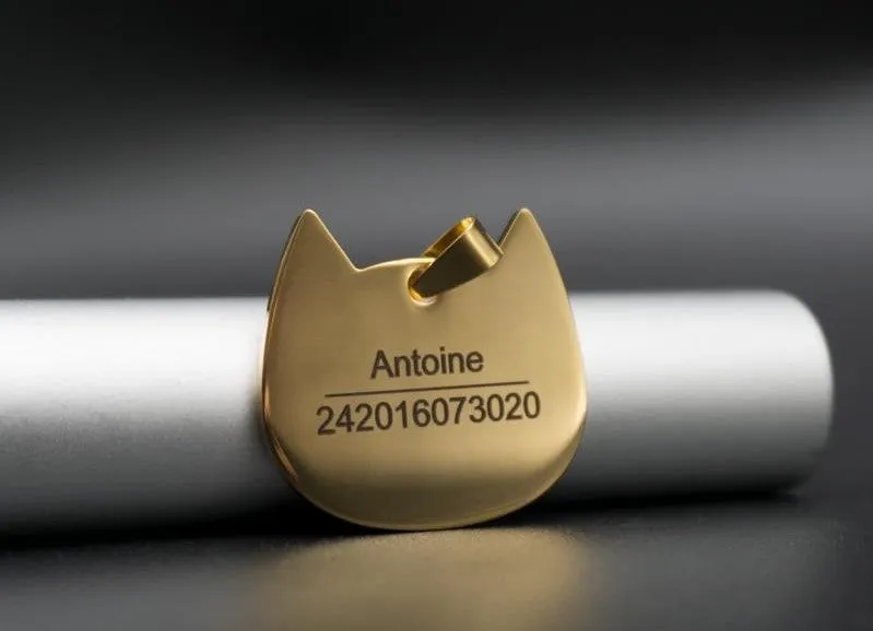 Médaille gravée motif poisson ou chat