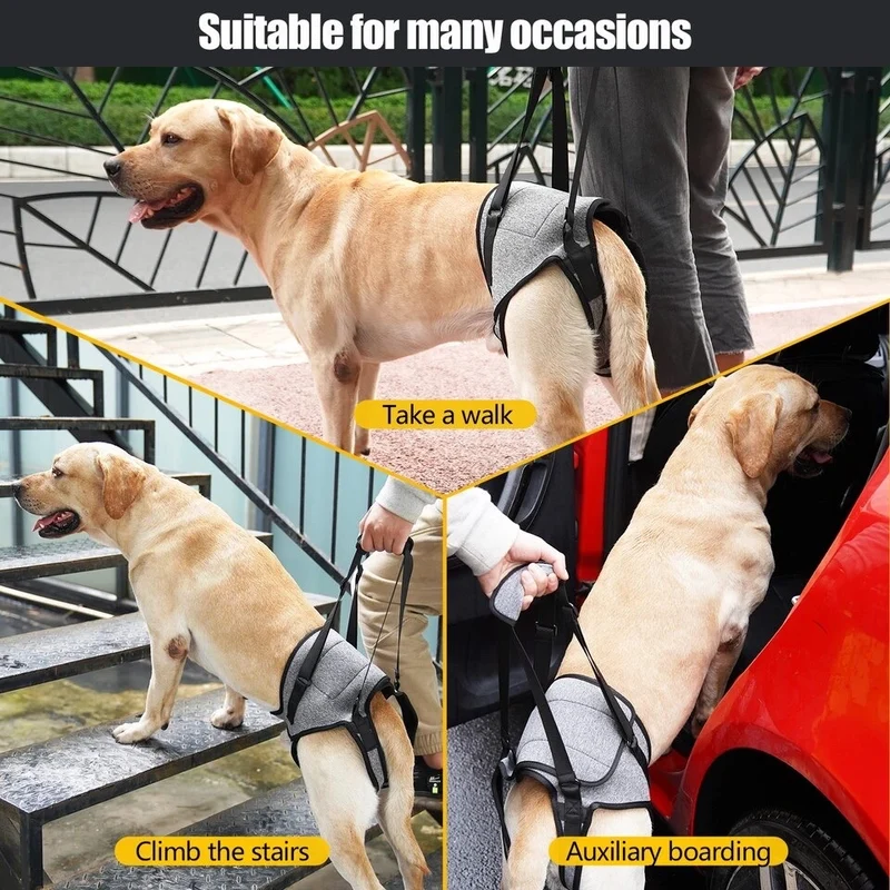 Harnais chien handicape train arriere
