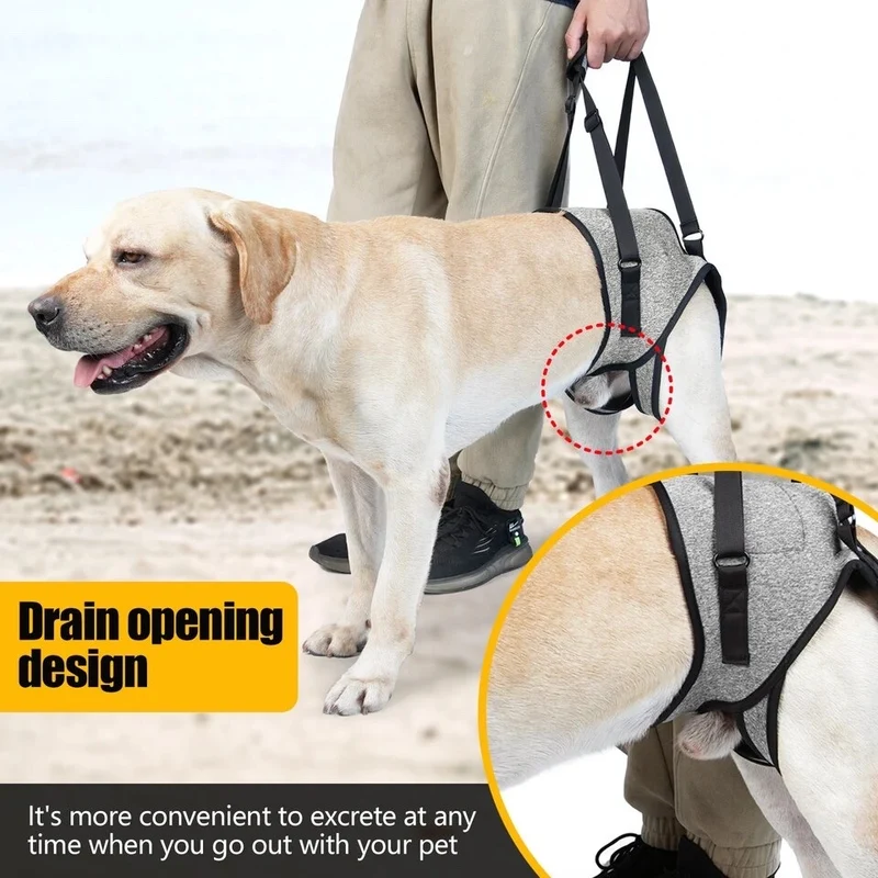 Harnais chien handicape train arriere