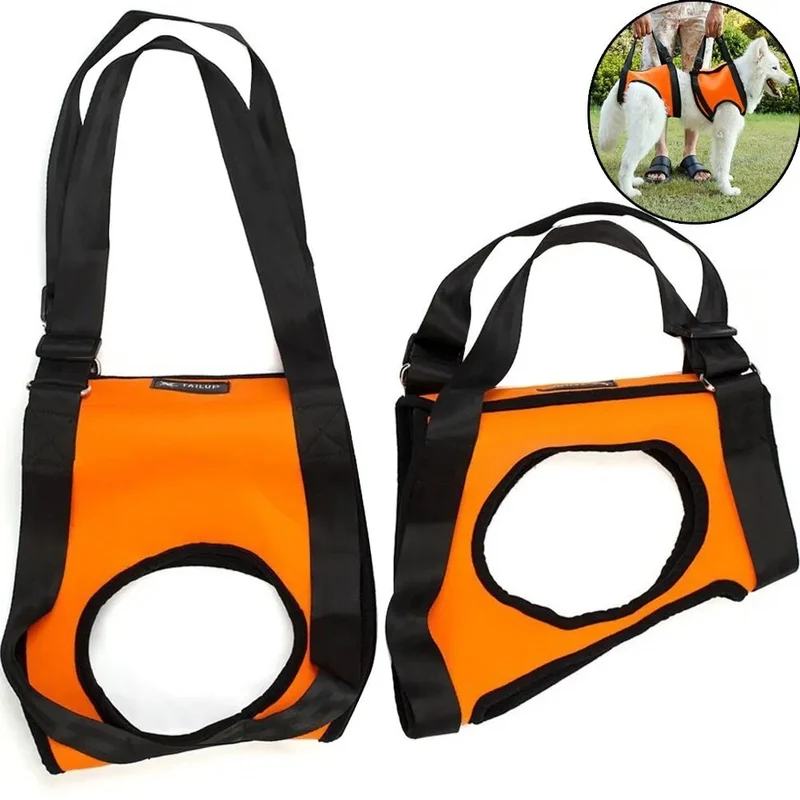 Harnais de levage pour chien