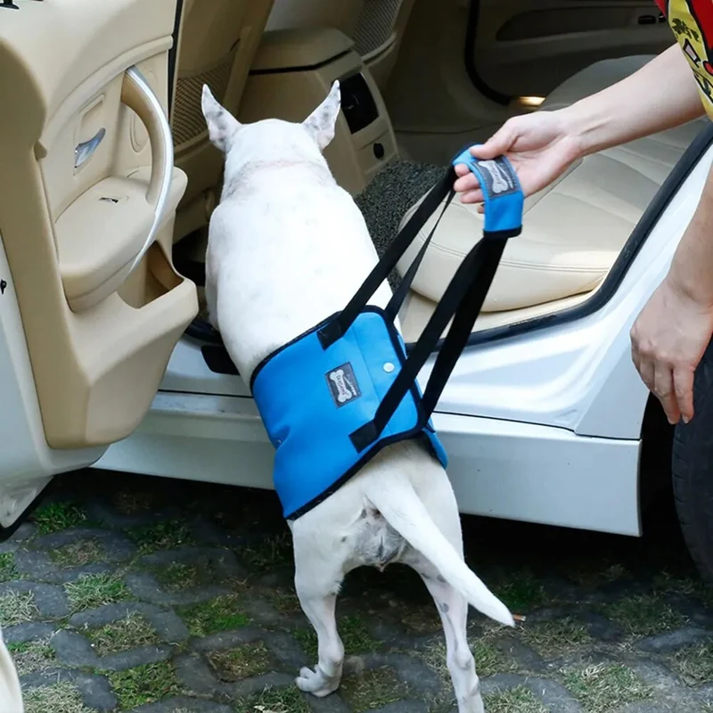 Harnais de soutien à la marche chien