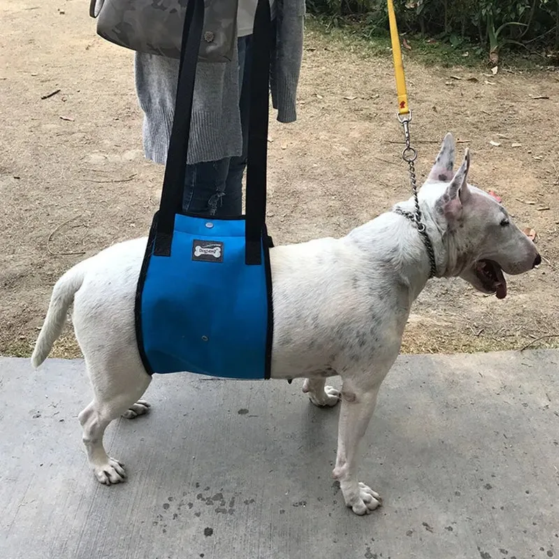 Harnais de soutien à la marche chien