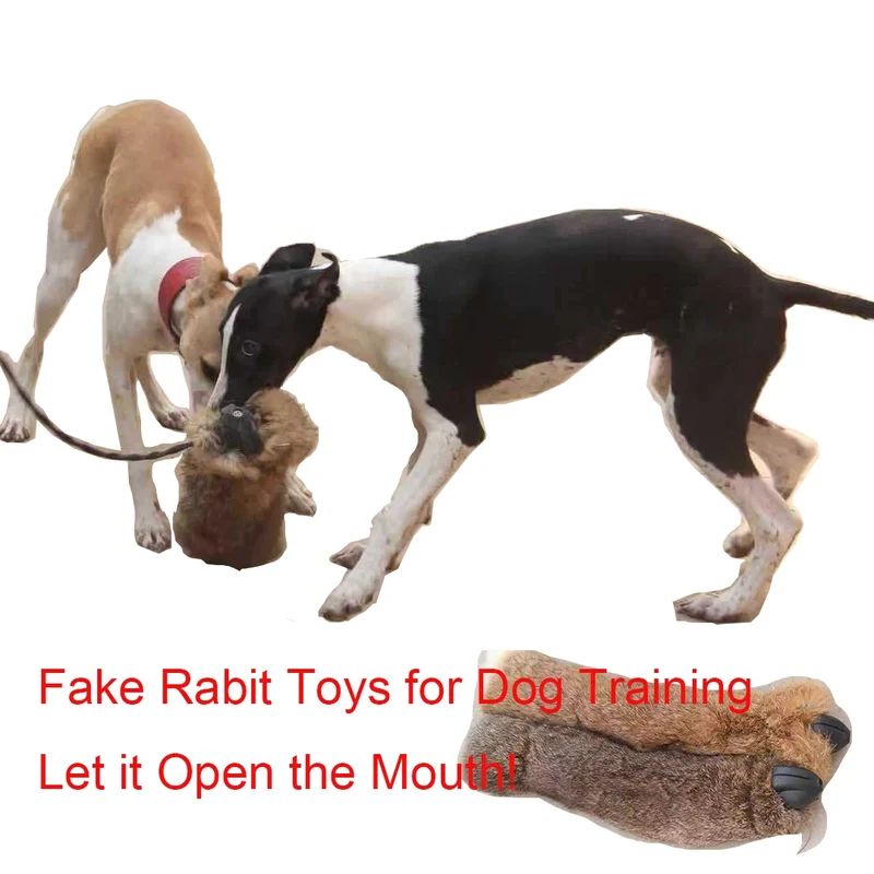 Lapin Simulé Sonore Dressage Chien Chasse