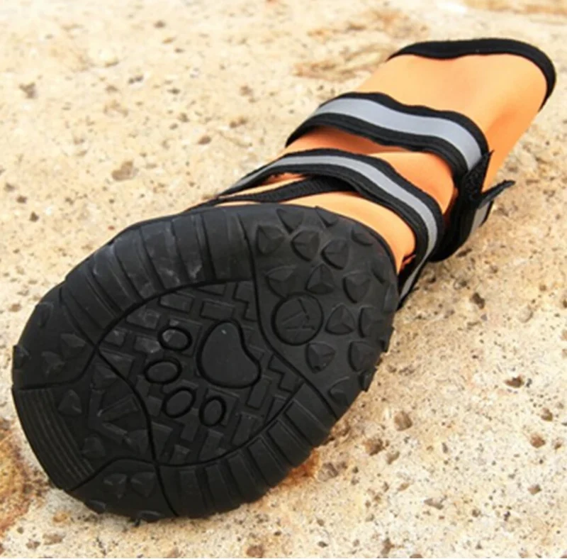 Bottes Imperméables Oxford Réfléchissantes Gros Chien