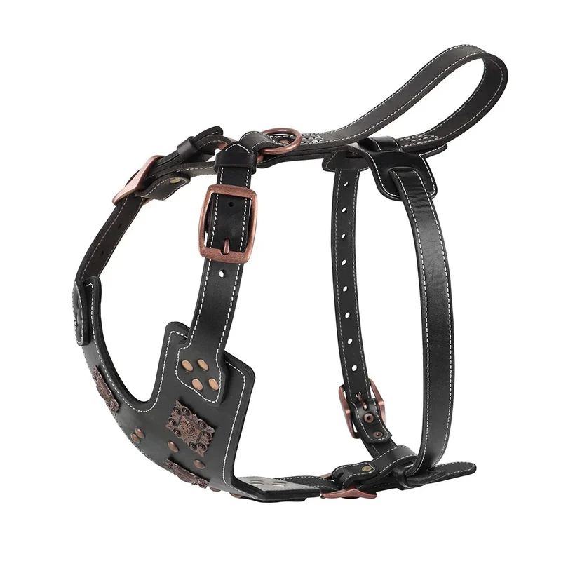 Harnais en cuir véritable pour chien
