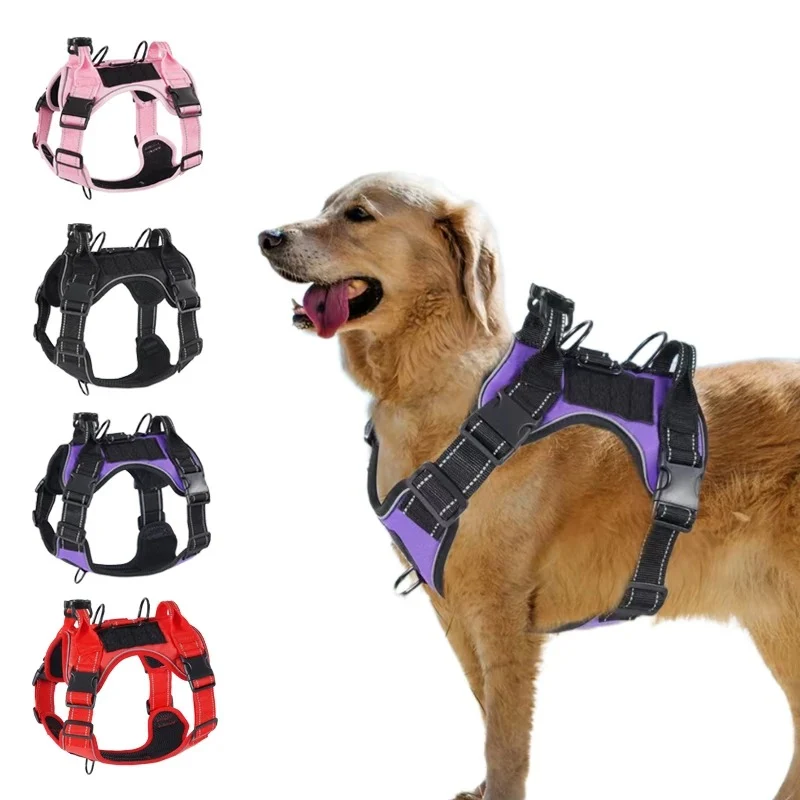 Harnais chien avec gps