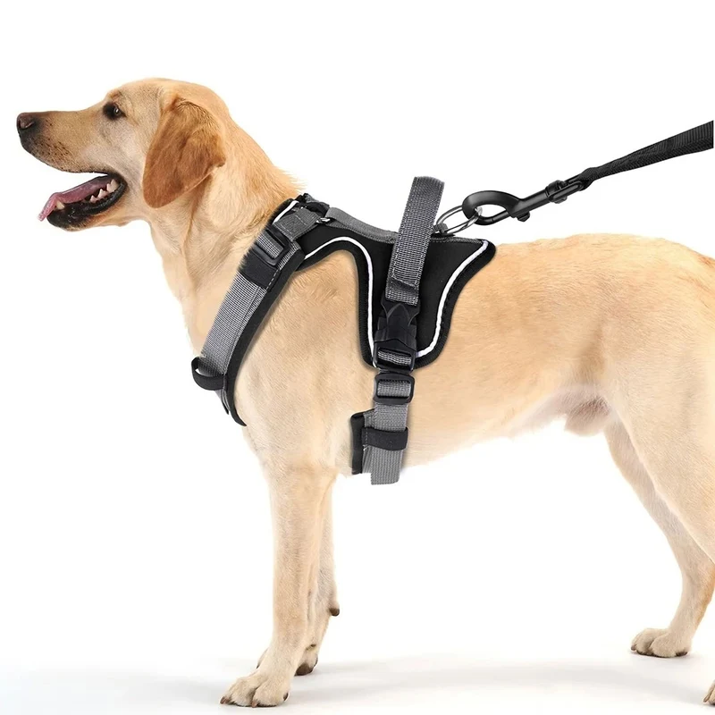 Harnais avec poignée pour chien