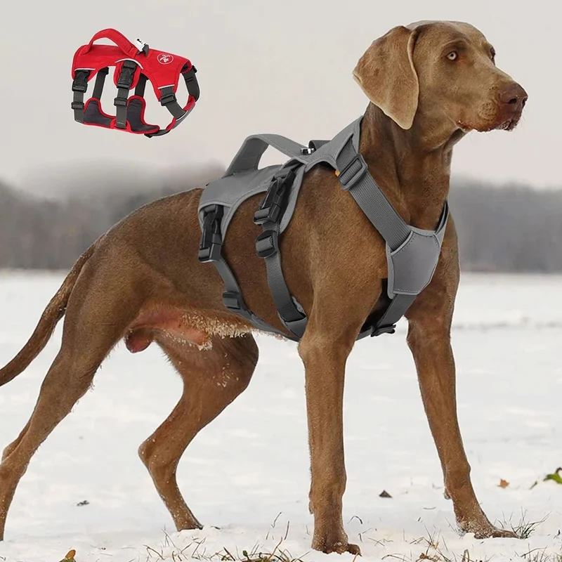 Harnais imperméable pour chien waterproof