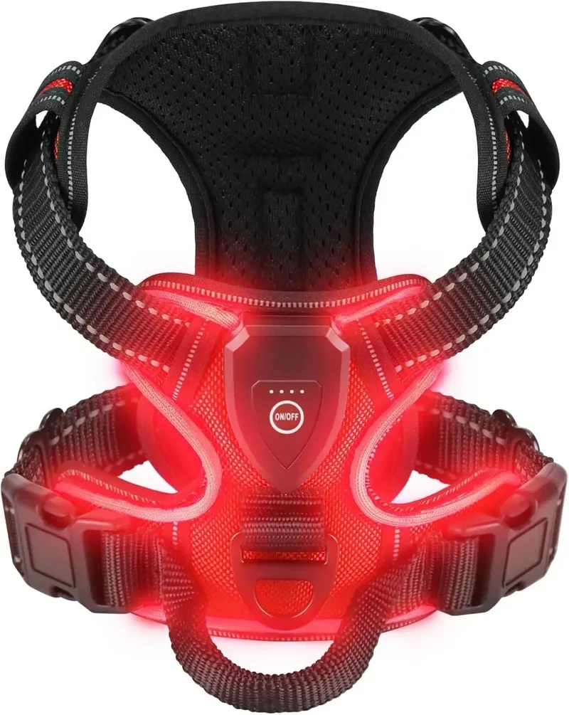 Harnais lumineux pour chien