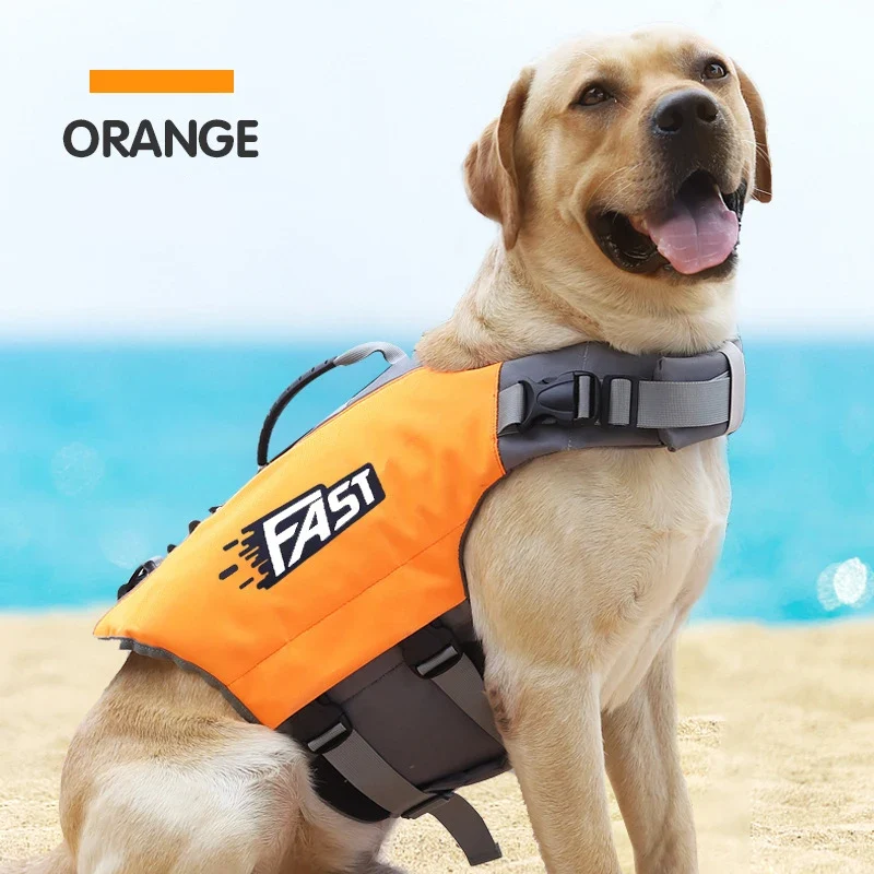 Gilet natation chien
