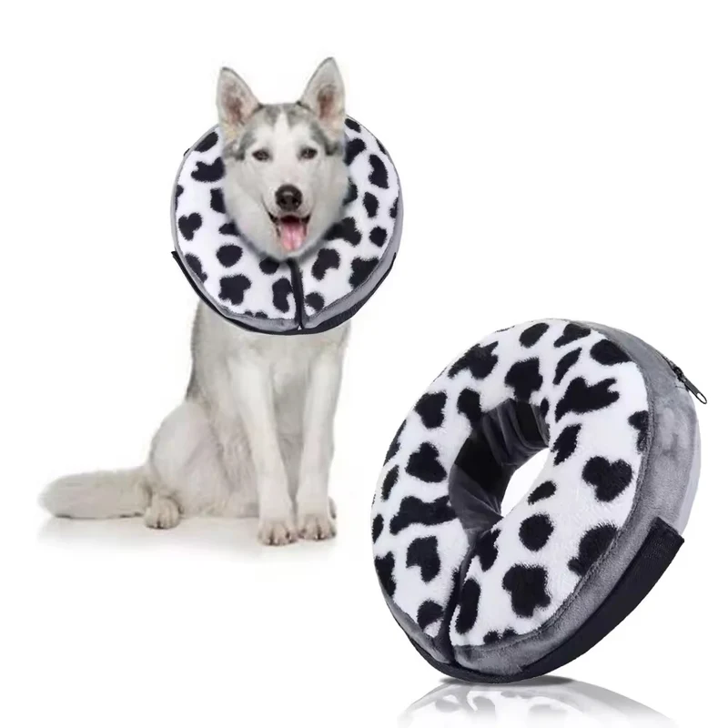 Collier élisabéthain chien gonflable