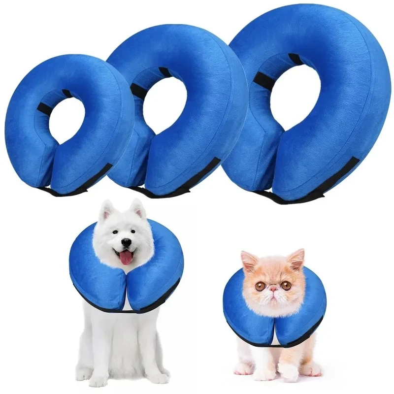Collerette chien gonflable