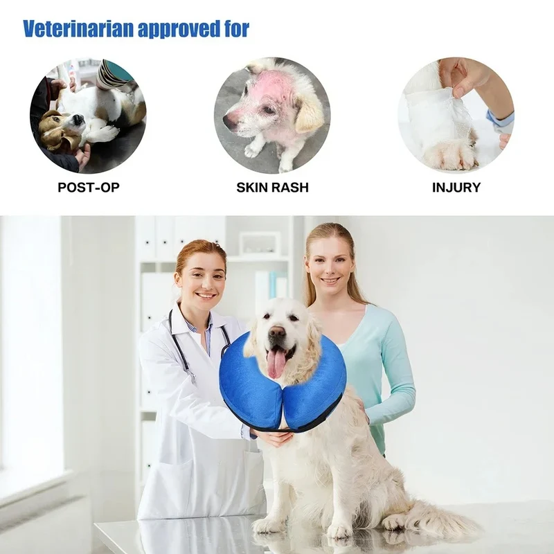Collerette chien gonflable