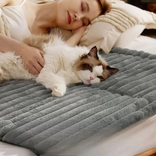 Tapis chauffant pour chat | Chat’Lheureux