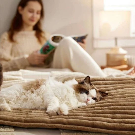 Tapis chauffant pour chat | Chat’Lheureux