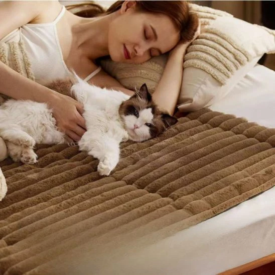 Tapis chauffant pour chat | Chat’Lheureux