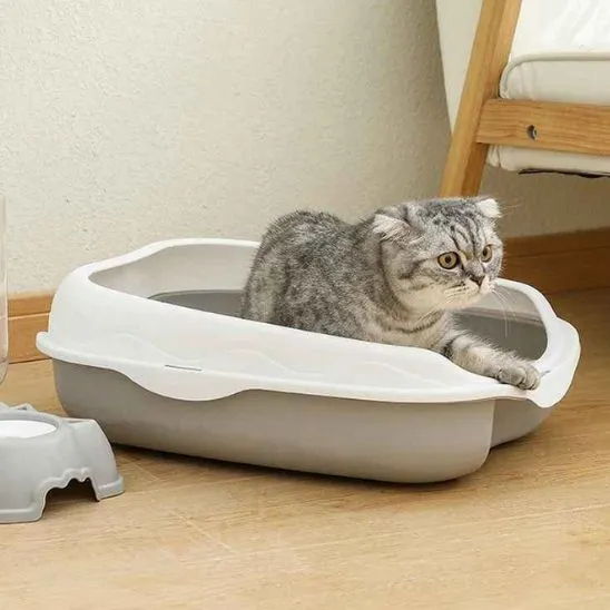 Bac à litière pour chaton - MinouStart