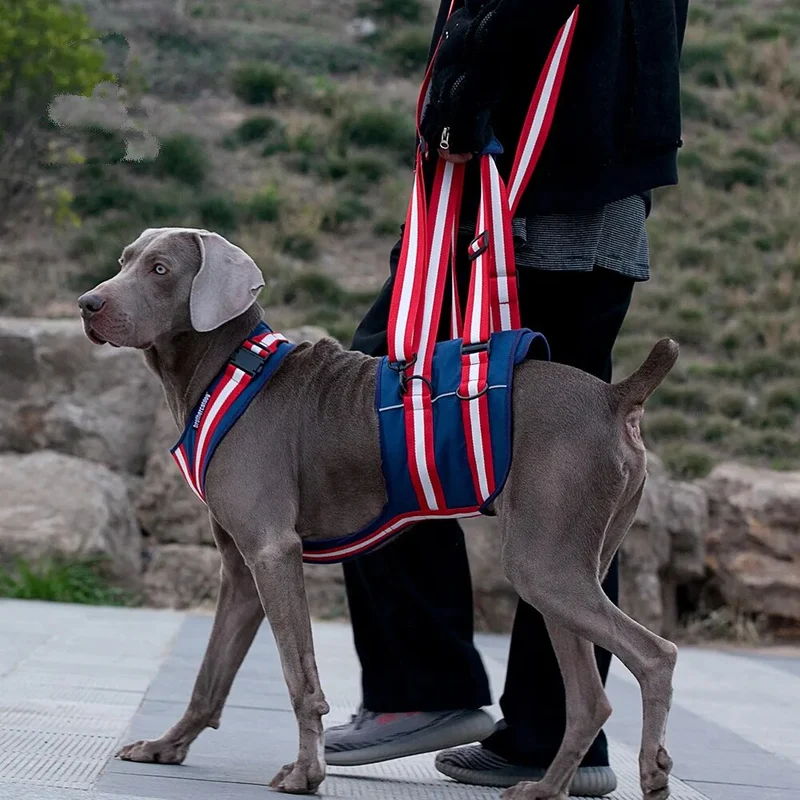 Harnais d'aide à la marche pour chien