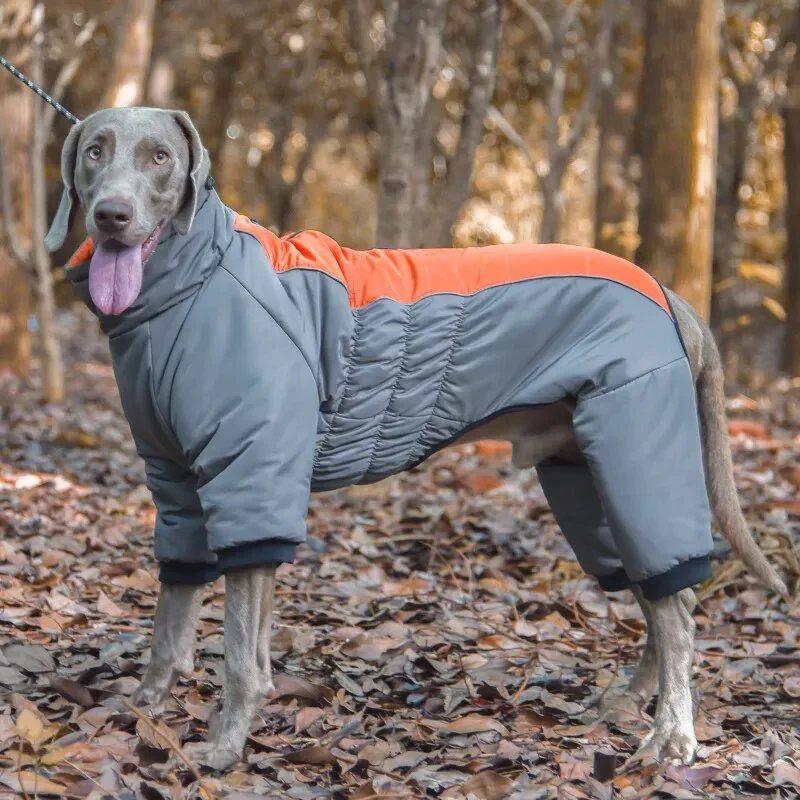 Imperméable pour chien de chasse
