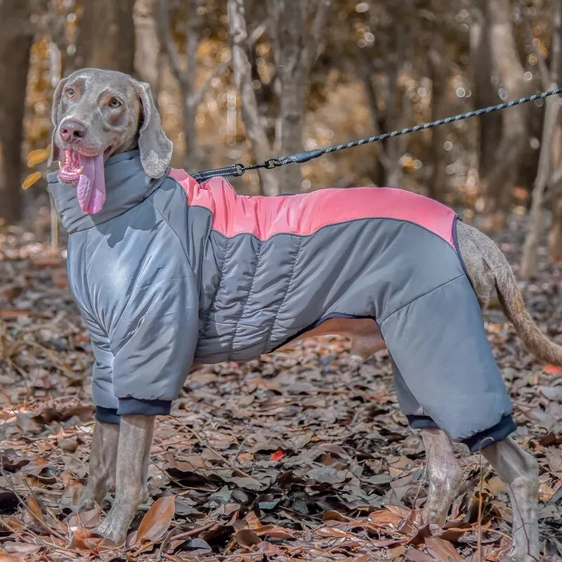 Imperméable pour chien de chasse