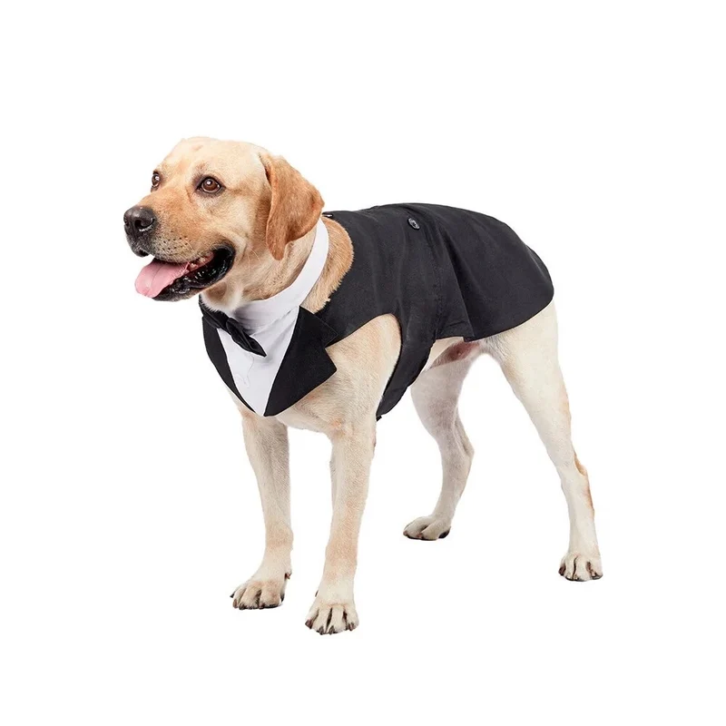 Smoking pour chien