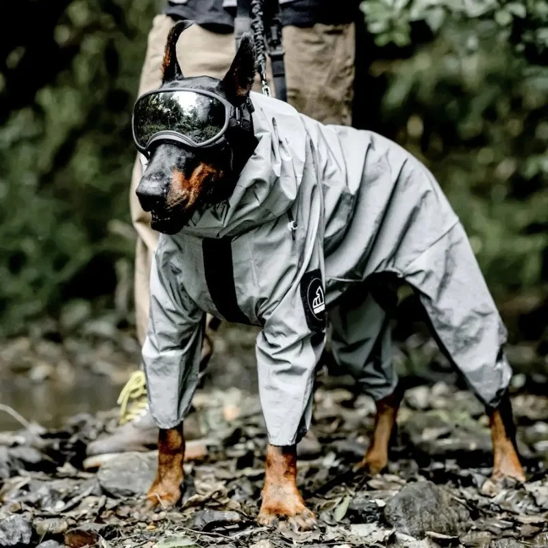 Imperméable chien réfléchissant