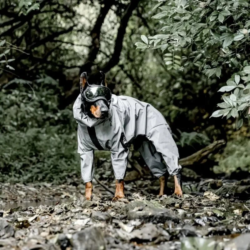 Imperméable chien réfléchissant