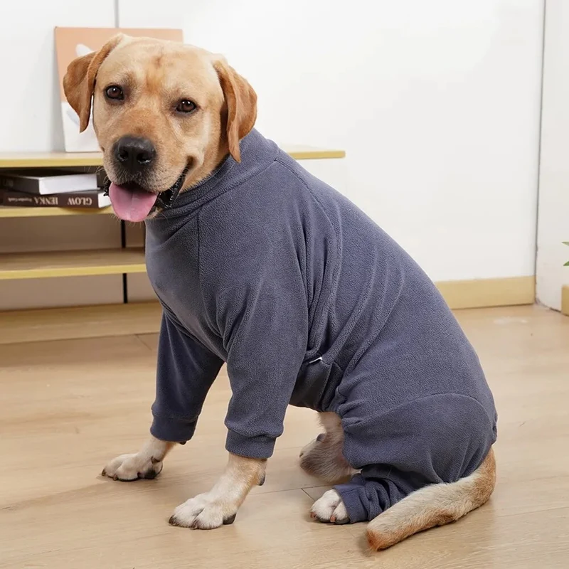 Pyjama pour chien grande taille