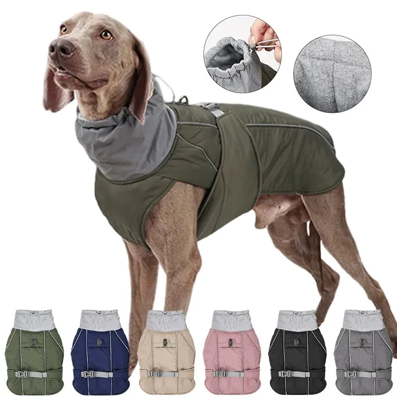 Manteau chien col réfléchissant