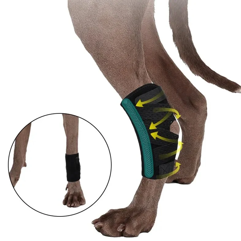 Attelle pour chien arthrose