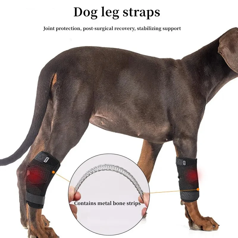 Attelle pour chien arthrose