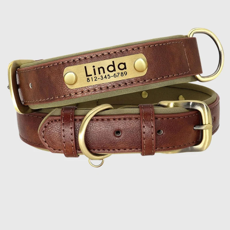 Collier Personnalisable Résistant Gros Chien